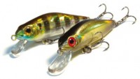 Crackjack 38