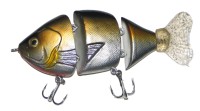 Bull Bream