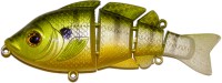 Revolution Bluegill