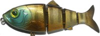 Revolution Shad