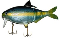 Shad Clone