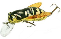 Bumble Bug