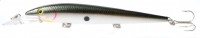 Fastrac Rattlin Minnow