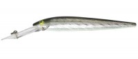 Spoonbill Minnow