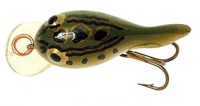 Tadfry