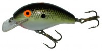 Wee R