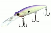 Fetch Minnow