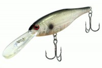 Jerk Shad