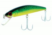 Sea Minnow