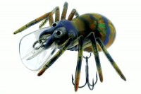 Spider Crank