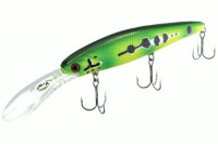 Trophy Minnow