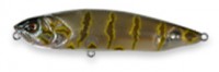 Medium Claws Payao Jr