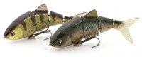 BBZ-1 Shad