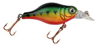 Big Belly Crankbait