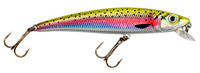Big Eye Minnow
