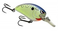 Little John MD