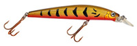 Long Minnow