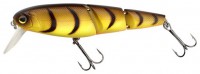 RT-Snake