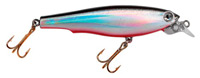 Specialist Minnow