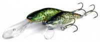 Bullhead