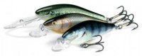 Executor Shallow Runner