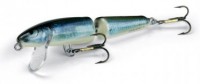 Salmo Fanatic
