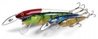 Salmo Whitefish