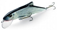 Skinner