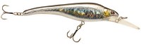 Acast minnow medium lip