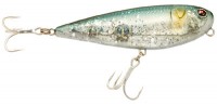 Bonga minnow