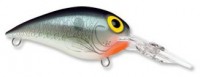 Wiggle Wart