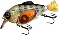 An Pan Fish