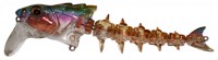 EG-067