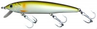 Flash Minnow