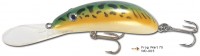 Frog Wart