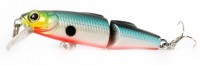 Silver Sprat