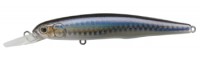 Bitstream SW