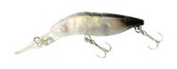 Shrimp