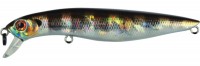 Dead Minnow