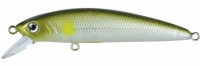 Minnow 60