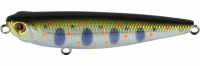 Pencil