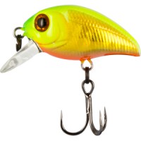 Sexy Minnow