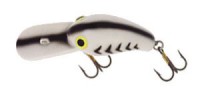 Lil FatFish
