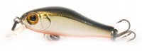 Rigge 35SS