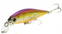 Rigge Flat_50S