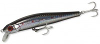 ZBL System_Minnow_11F