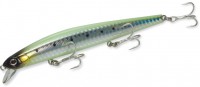 ZBL System_Minnow_123F