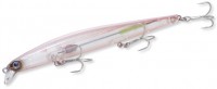 ZBL System_Minnow_139F