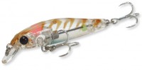 ZBL System_Minnow_50S