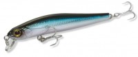 ZBL System_Minnow_7F